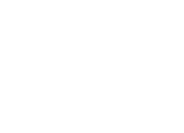 Logo Welli Valente Salon